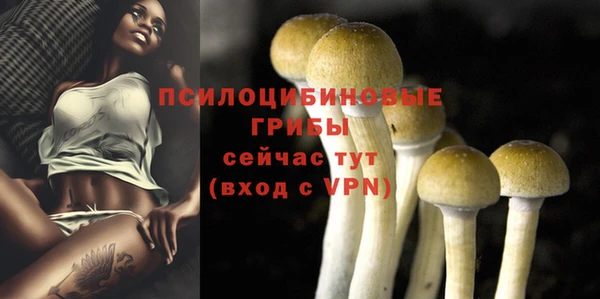 герыч Надым